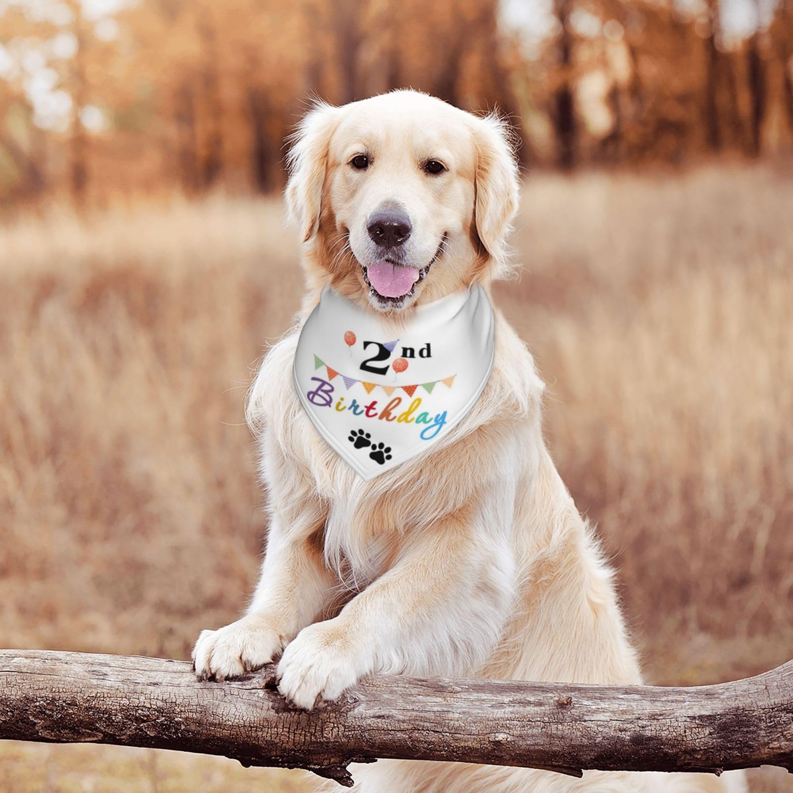 It'S My 2Nd Birthday Colorful Balloons Dog Bandana Scarf Triangle Bibs Pet Accessories Cat Kerchief