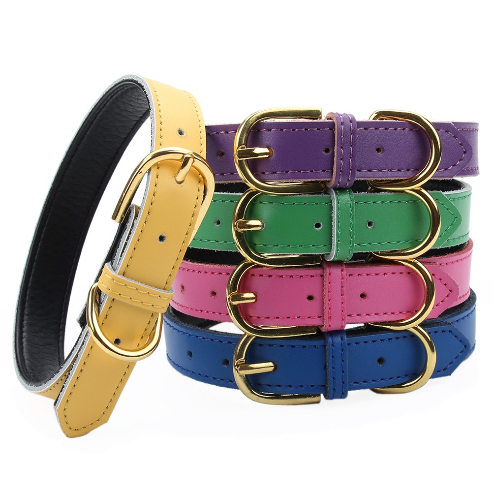 Aolove Basic Classic Padded Leather Pet Collars For Cats Puppy Small Medium Dogs (Medium (Neck 11.5'-15'), Rose Red)