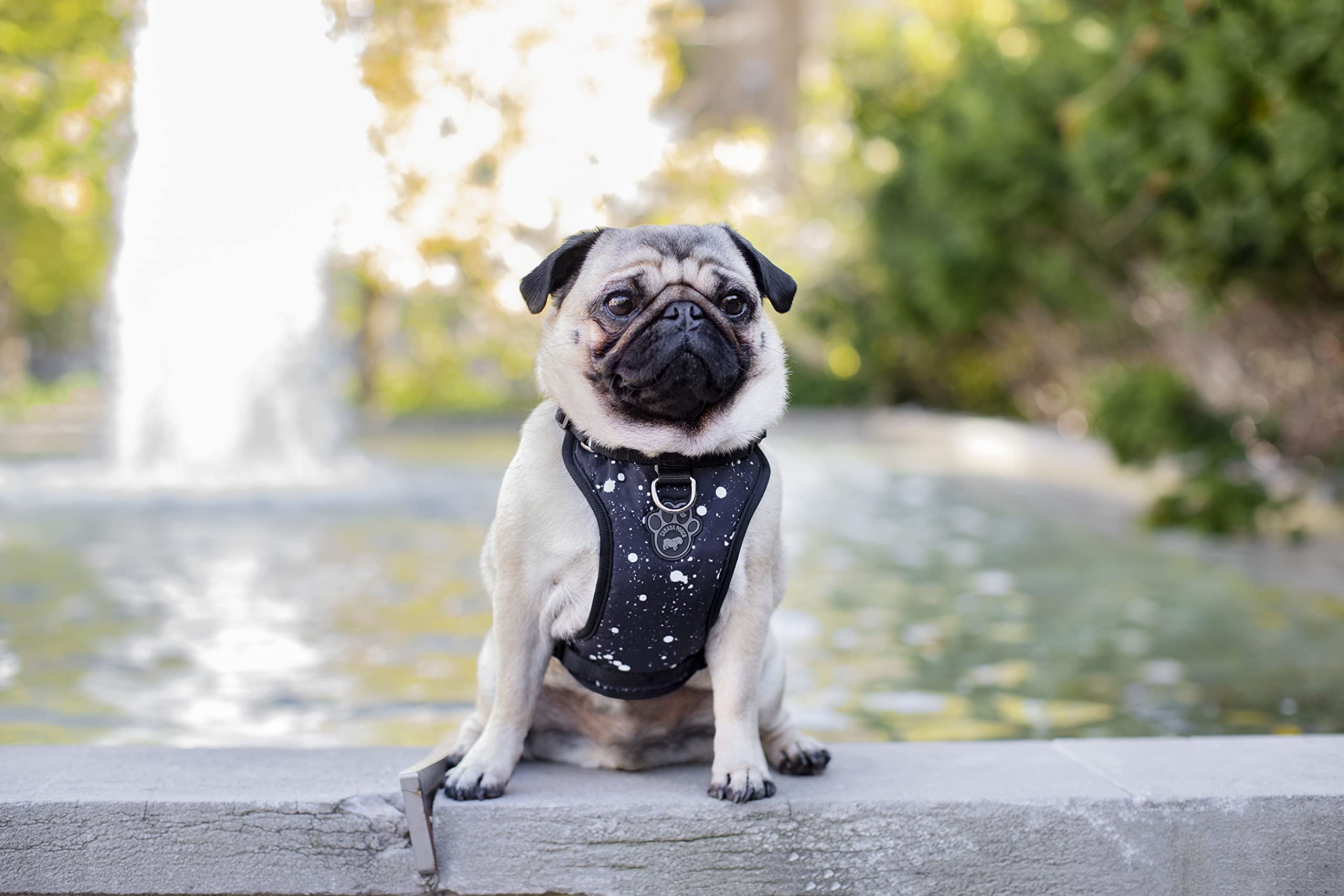 Canada Pooch No Pull Dog Harness Adjustable Dog Harness For Walking Dogs Seat Belt Harness, Front & Back D-Rings For Comfort & Control - Splatter/L