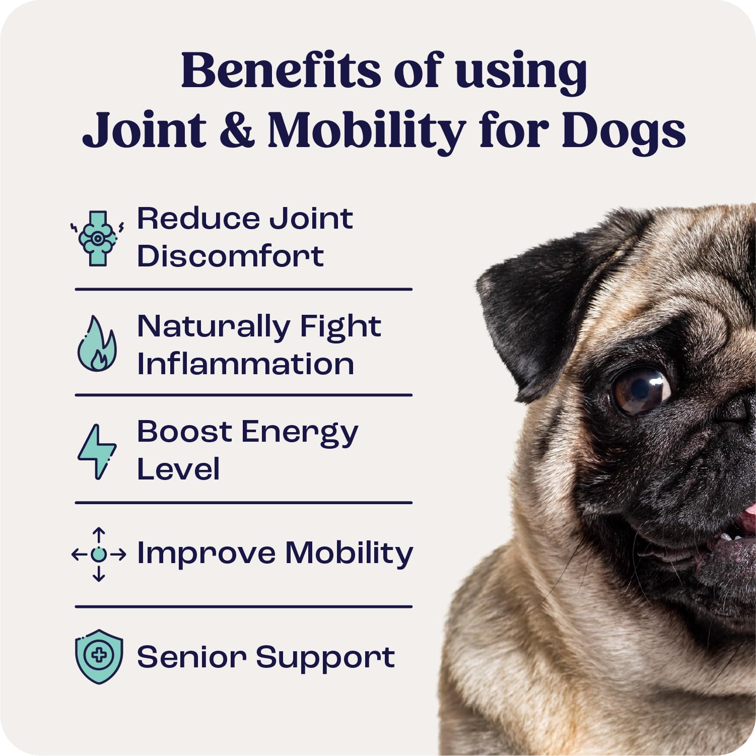 Summit Canine Joint and Mobility Supplement for Small Dogs (Previously Lift), All Natural Liquid Chondroitin with Liposomal Deli