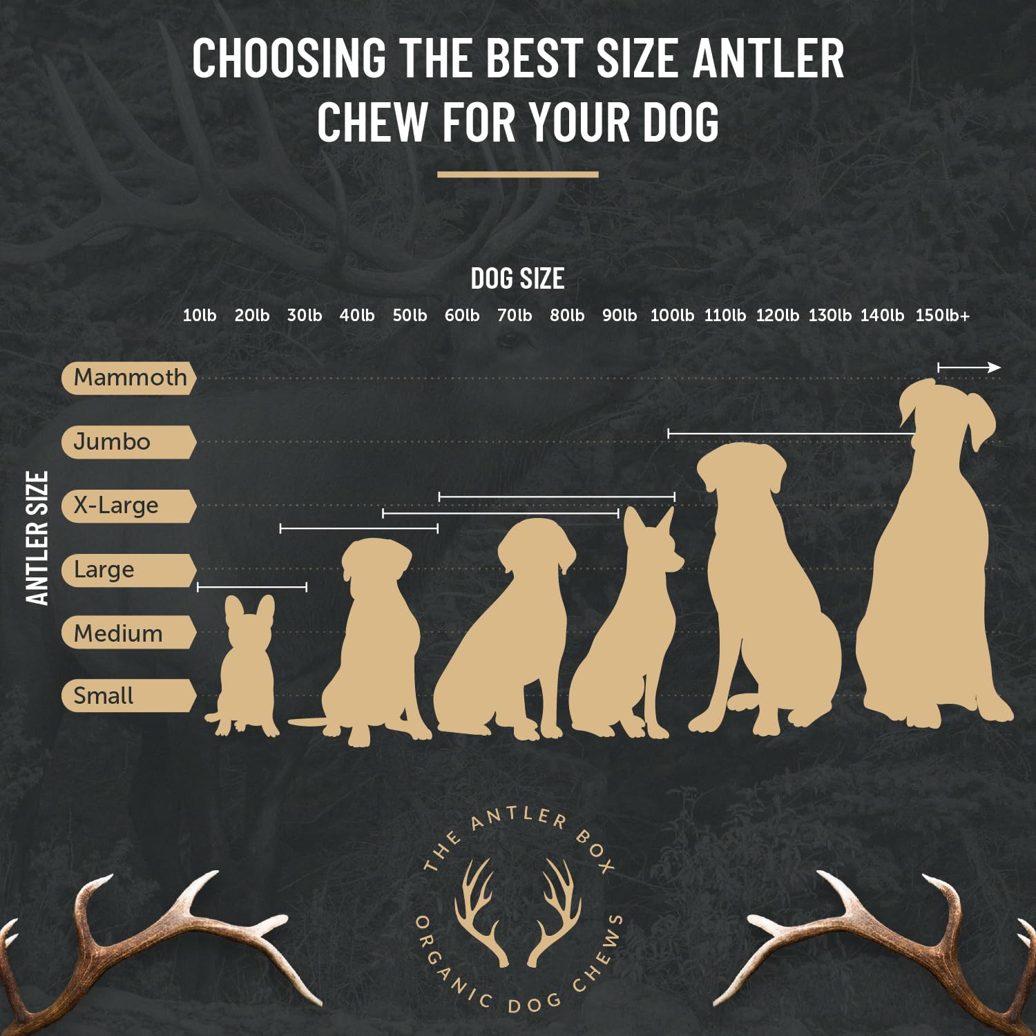 The Antler Box Premium Elk Antler Dog Chews (1 Pound Box) (Large (3 Pieces) Whole Only)
