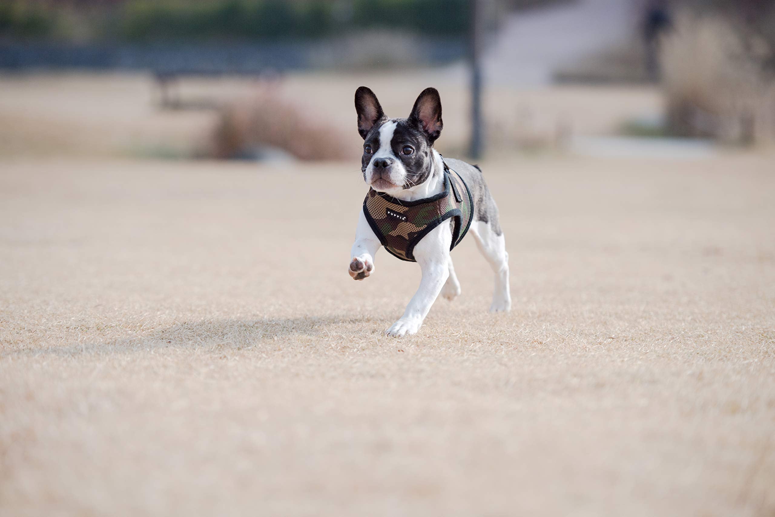 PUPPIA International Puppia Harness Soft B Vest CAMO XLarge
