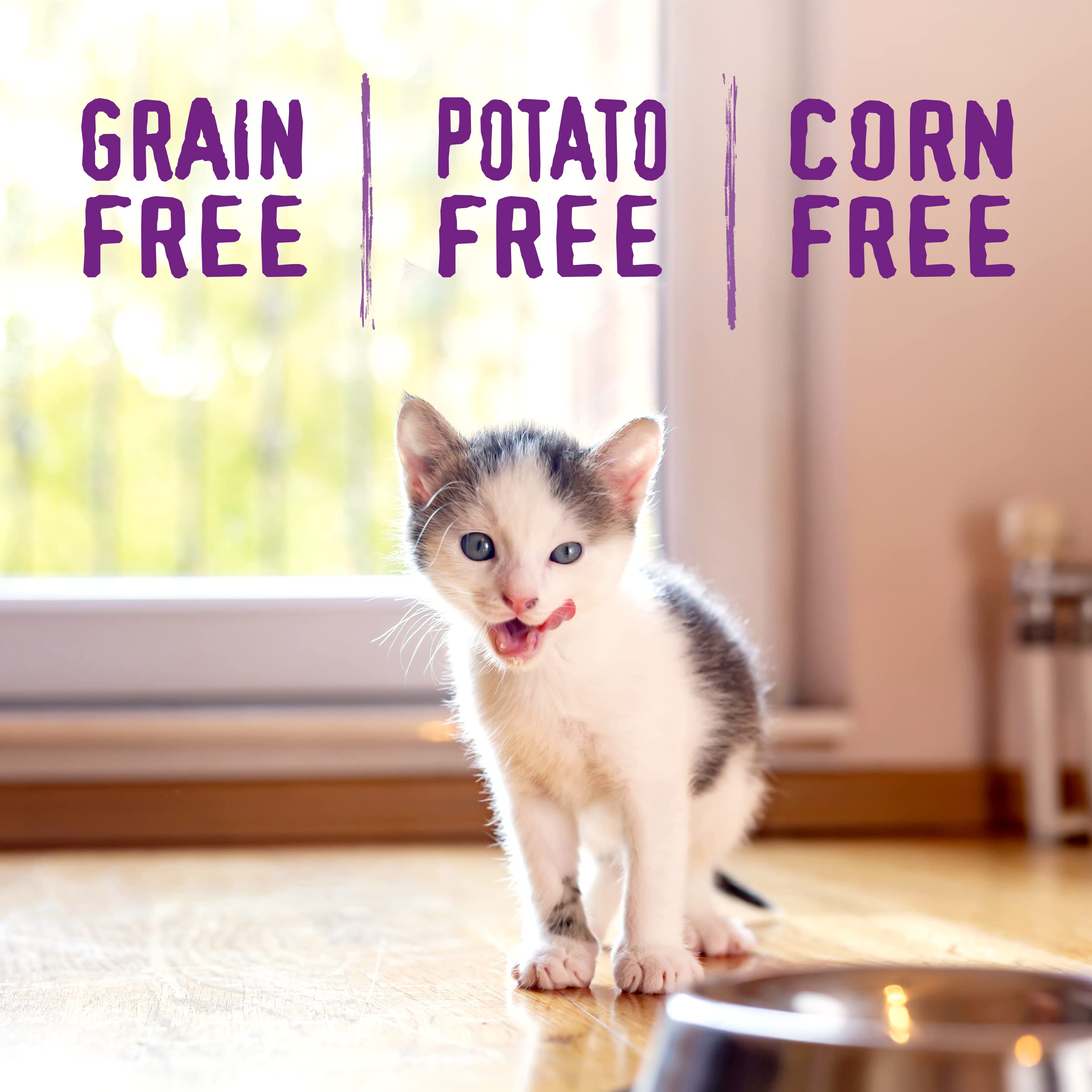 Stella & Chewys Raw Coated Premium Kibble Cat & Kitten Food - Grain Free, Protein Rich Meals - Cage-Free Chicken for Kittens Re