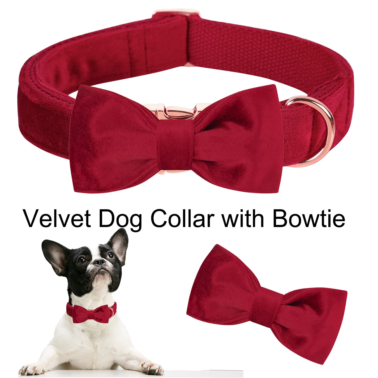ARING PET Velvet Dog Collar-Soft Bowtie Dog Collars with Metal Buckle, Cute&Comfortable Christmas Red Dog Collar with Bow for Sm