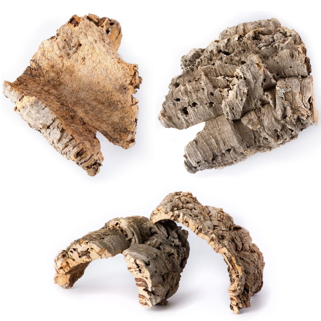 Gal  pagos (05501) Natural Cork Bark for Reptiles - Ideal for Bearded Dragons, Snakes, and Geckos - Climbing Accessory for Terra