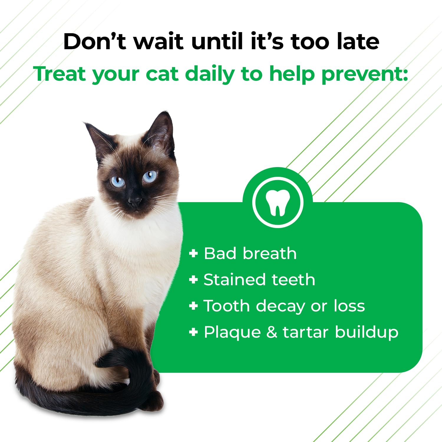 VetriScience Perio Plus Cat Teeth Cleaning Bites - Advanced Cat Breath Freshener - Dual Action Cat Dental Care Formula for Plaqu