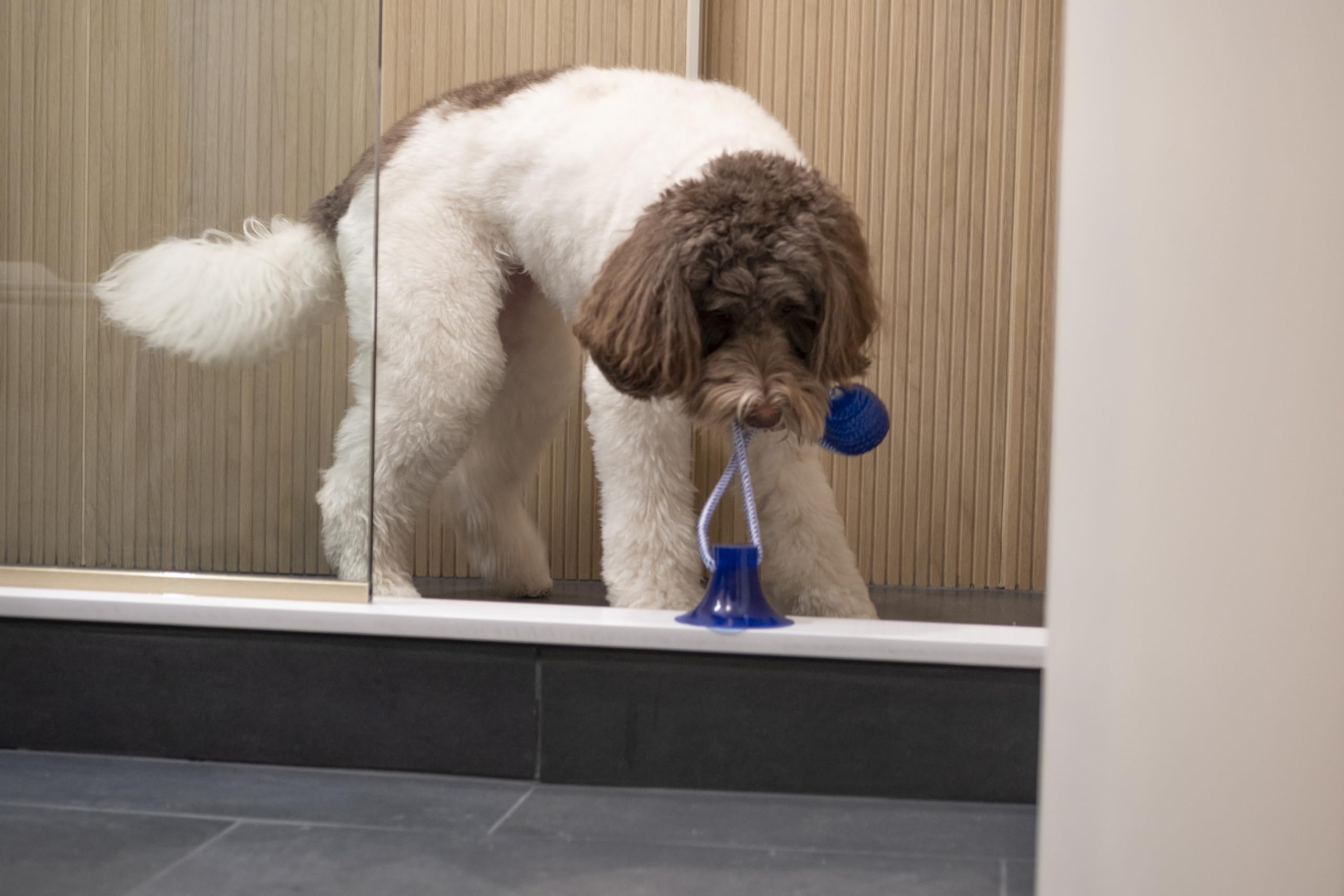 SPOT Press & Pull Interactive Dog Toy 17''