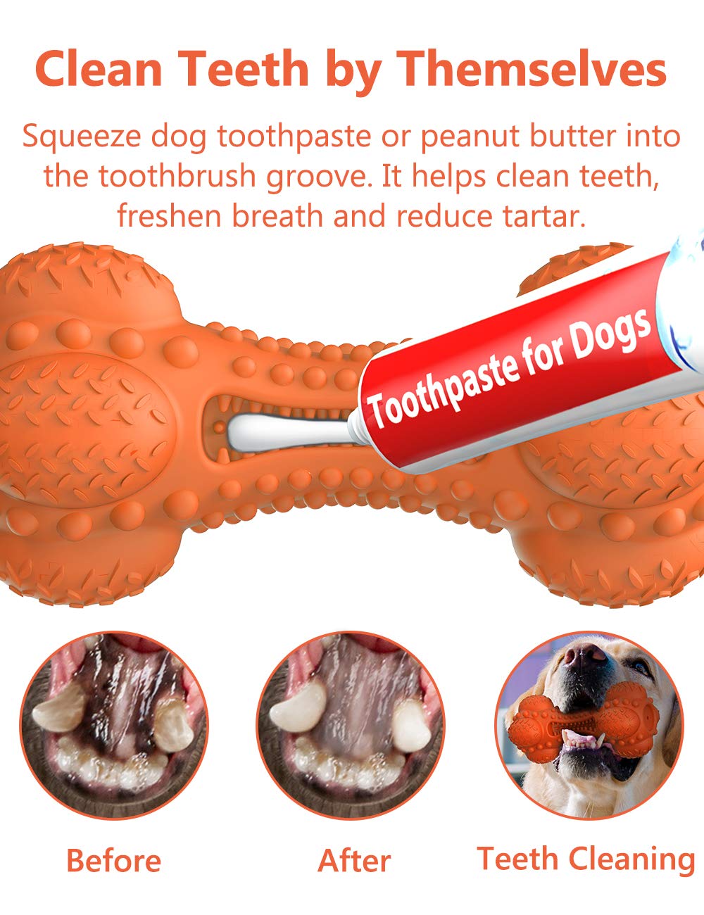 SCHITEC Squeaky Dog Chew Toy, Tough Durable Natural Rubber Bone with Toothbrush, Indestructible for Aggressive Chewers Large Med