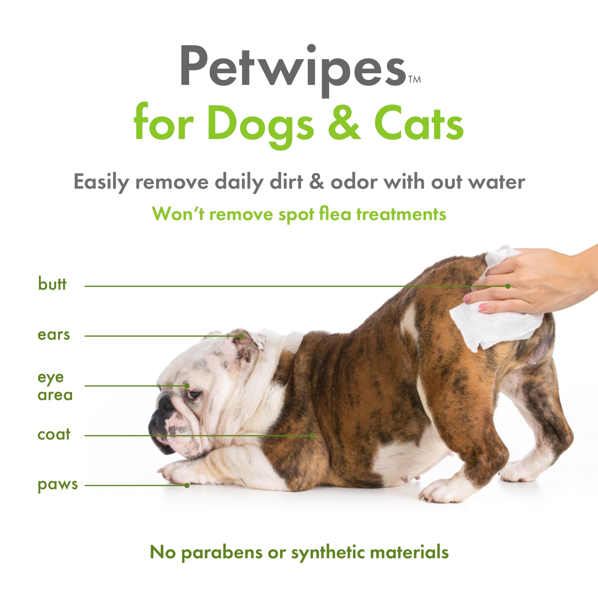 Petkin Plant-Based Pet Wipes, 100 Count (Pack of 4) - Biobased, Thick & Unscented for Dogs & Cats, Ideal for Face, Paws, Ears