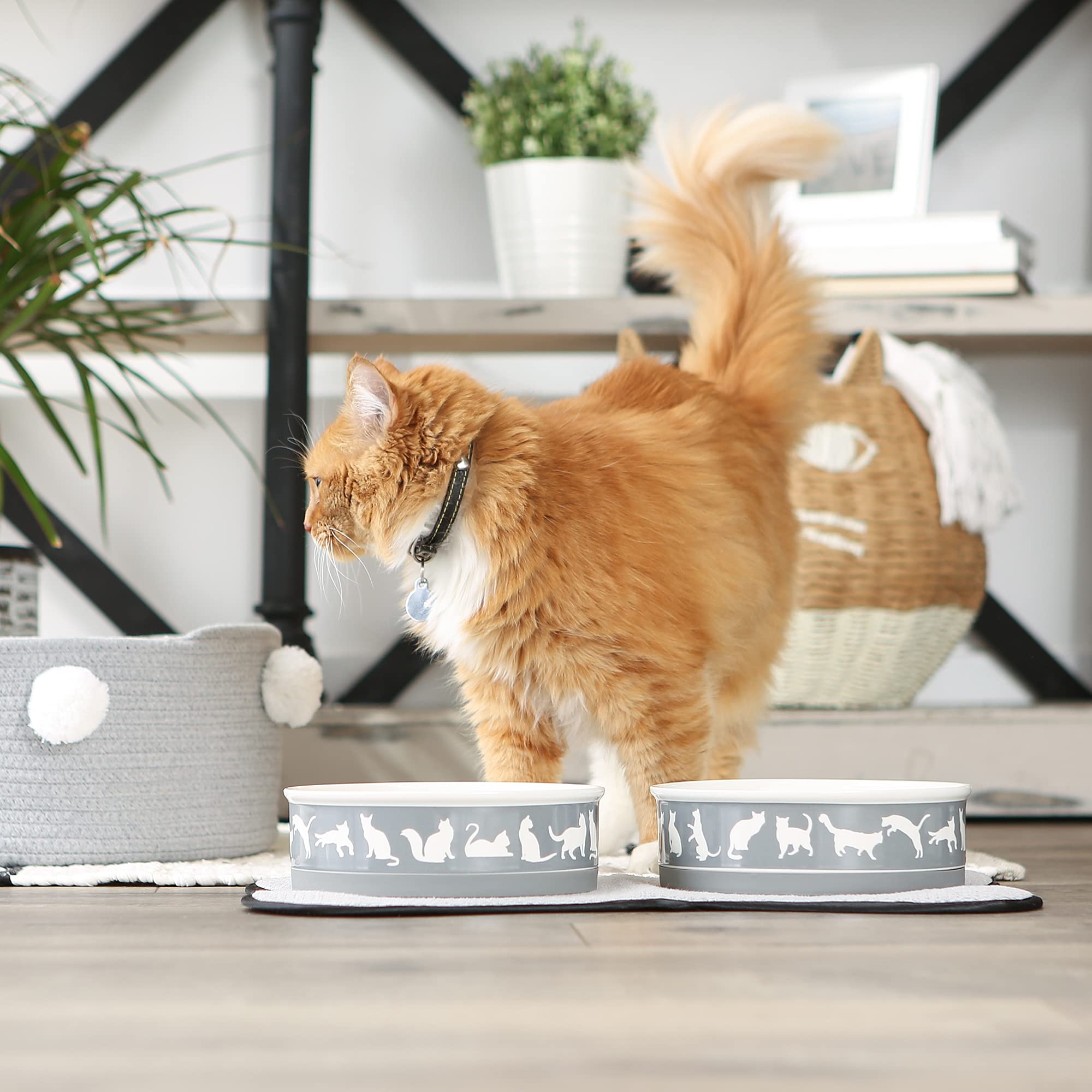 Bone Dry Ceramic Cat Bowls, Microwave & Dishwasher Safe, Large Set, 7.5x2.4, Gray, 2 Count
