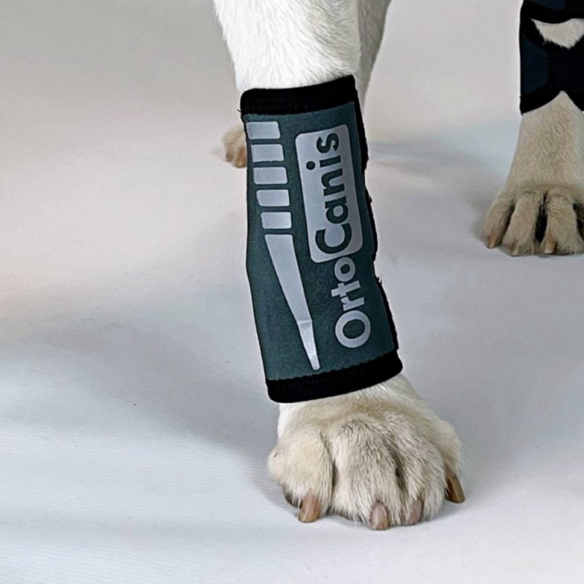 Ortocanis - Carpal Brace for Dogs with Arthrosis, Ligament or Tendon Injuries, or Agility Dogs, Size L