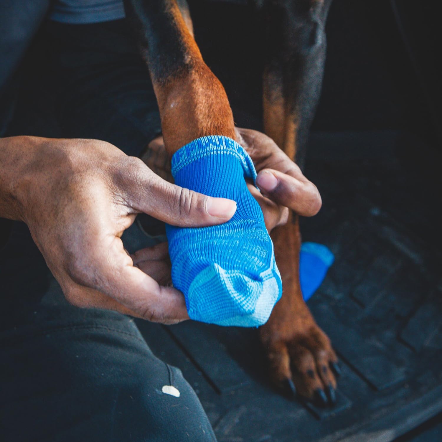 Ruffwear, Bark'N Boot Socks, Comfortable Dog Socks & Boot Liners, Blue Pool, 1.50 In/ 1.75 In