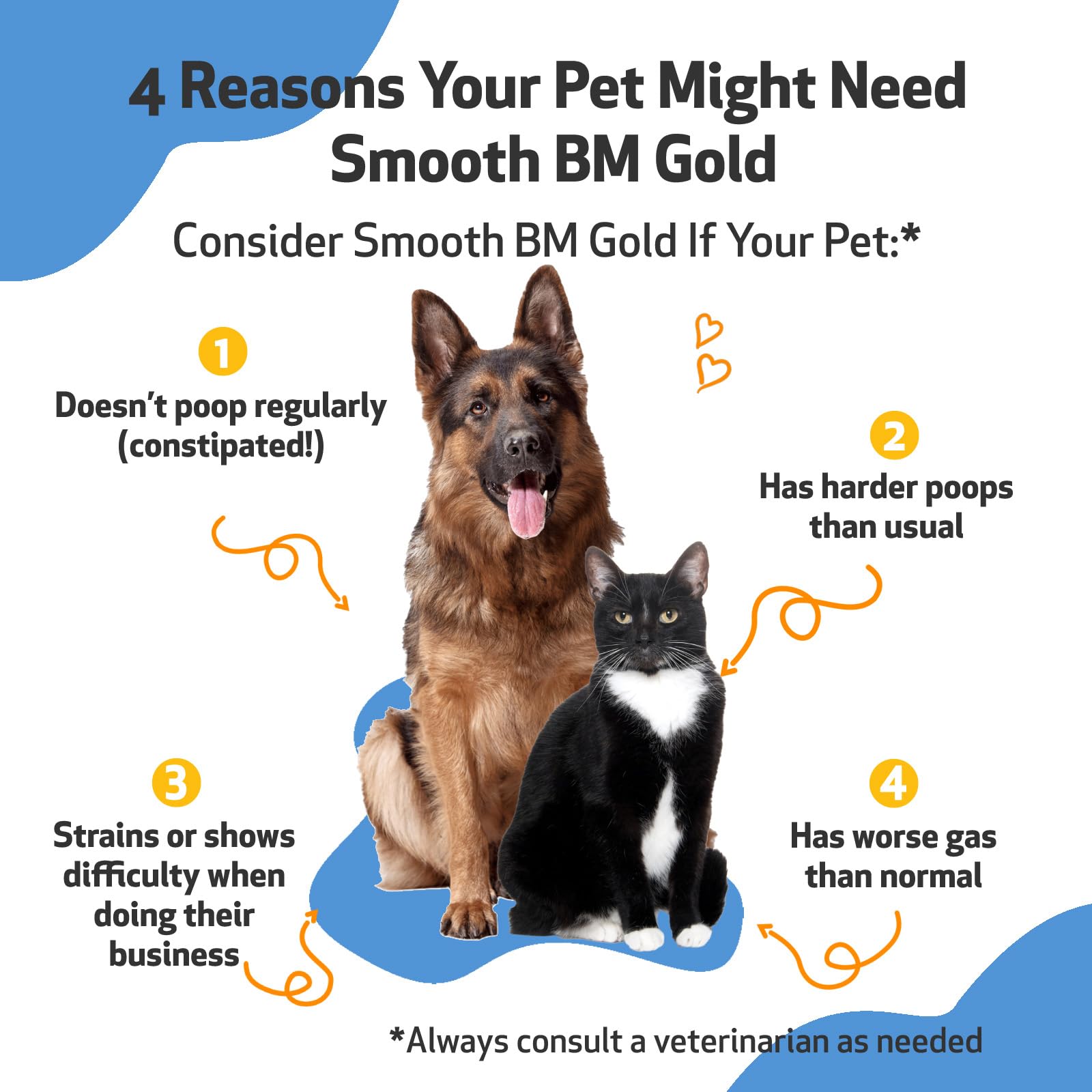 Pet Wellbeing Smooth BM Gold for Dog & Cats - Supports Healthy Bowel Movements, Normal Consistency, Gastrointestinal Health, Tri