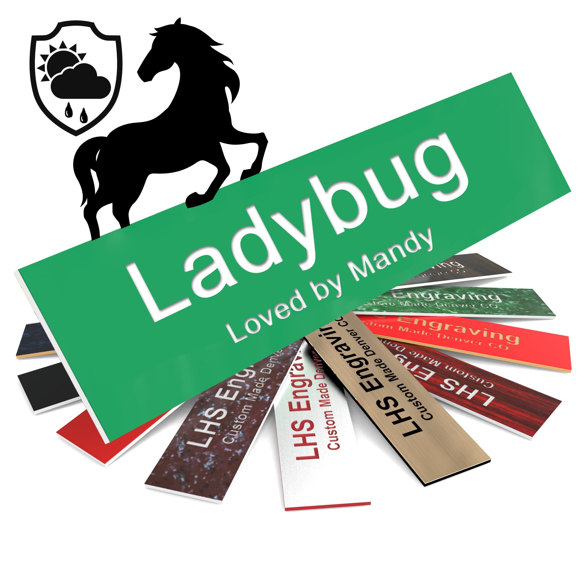 Lhs | Horse Stall Name Plate, 2X12 Personalized Stall Signs, Uv Protected, All Weather Adhesive, Hanging, Mounting Or Other, Gre
