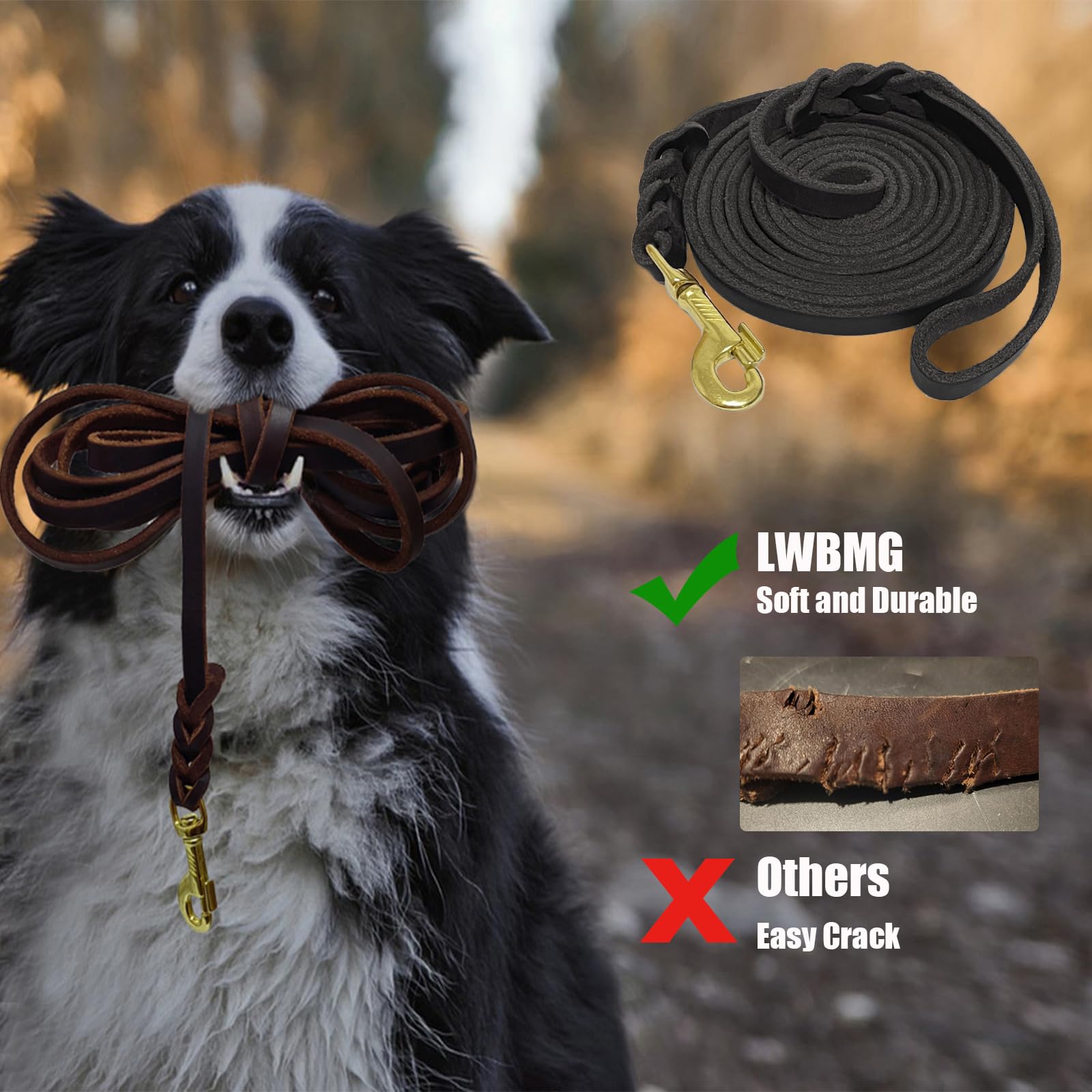 Lwbmg Long Leather Dog Leash 30Ft,Long Line Pet Leashes,Strong Sturdy Genuine Leather Braided Dog Lead, Soft And Comfortable Lea