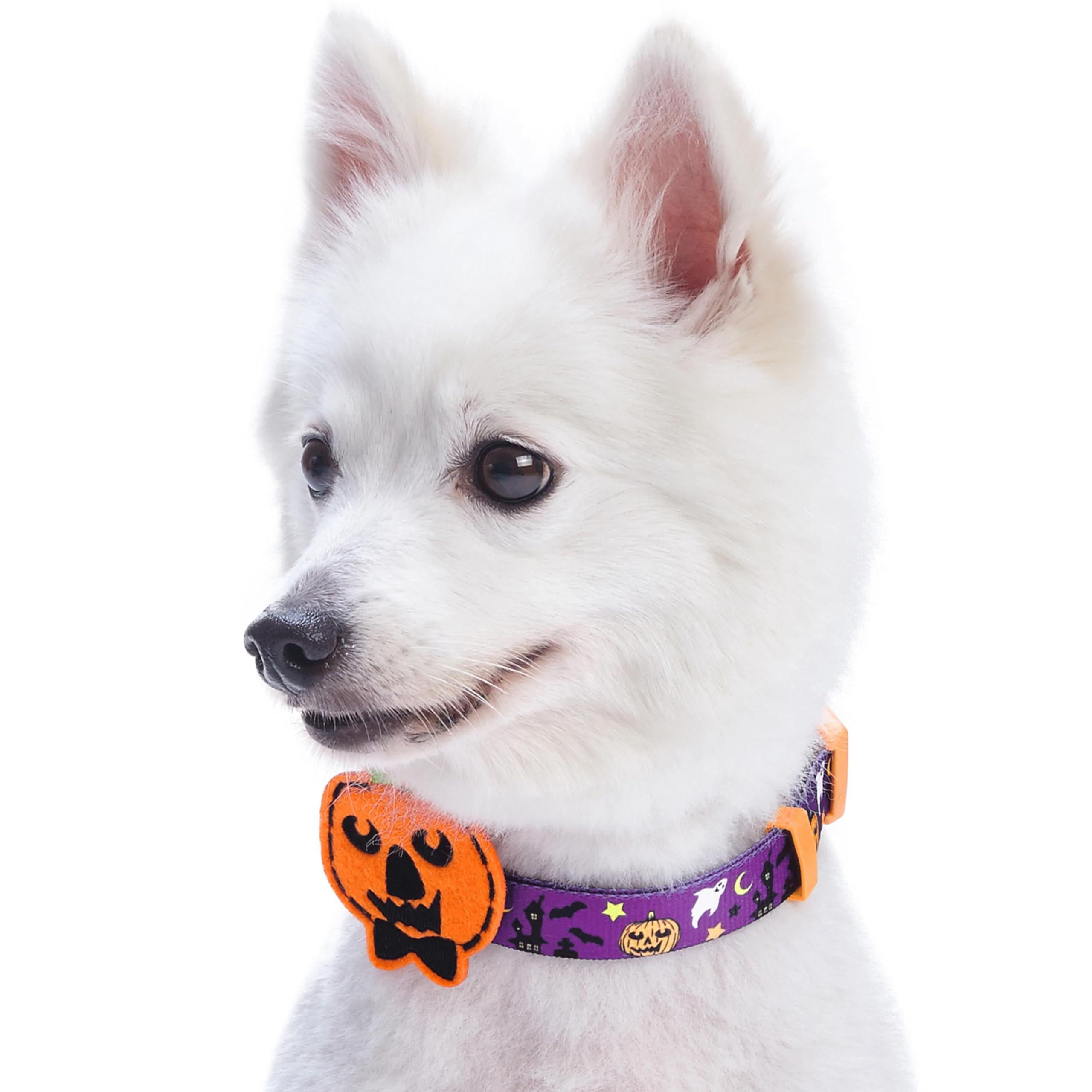 Blueberry Pet 8 Patterns Halloween Darkness Deserted Castle Designer Adjustable Dog Collar With Decoration, Small, Neck 12'-16'