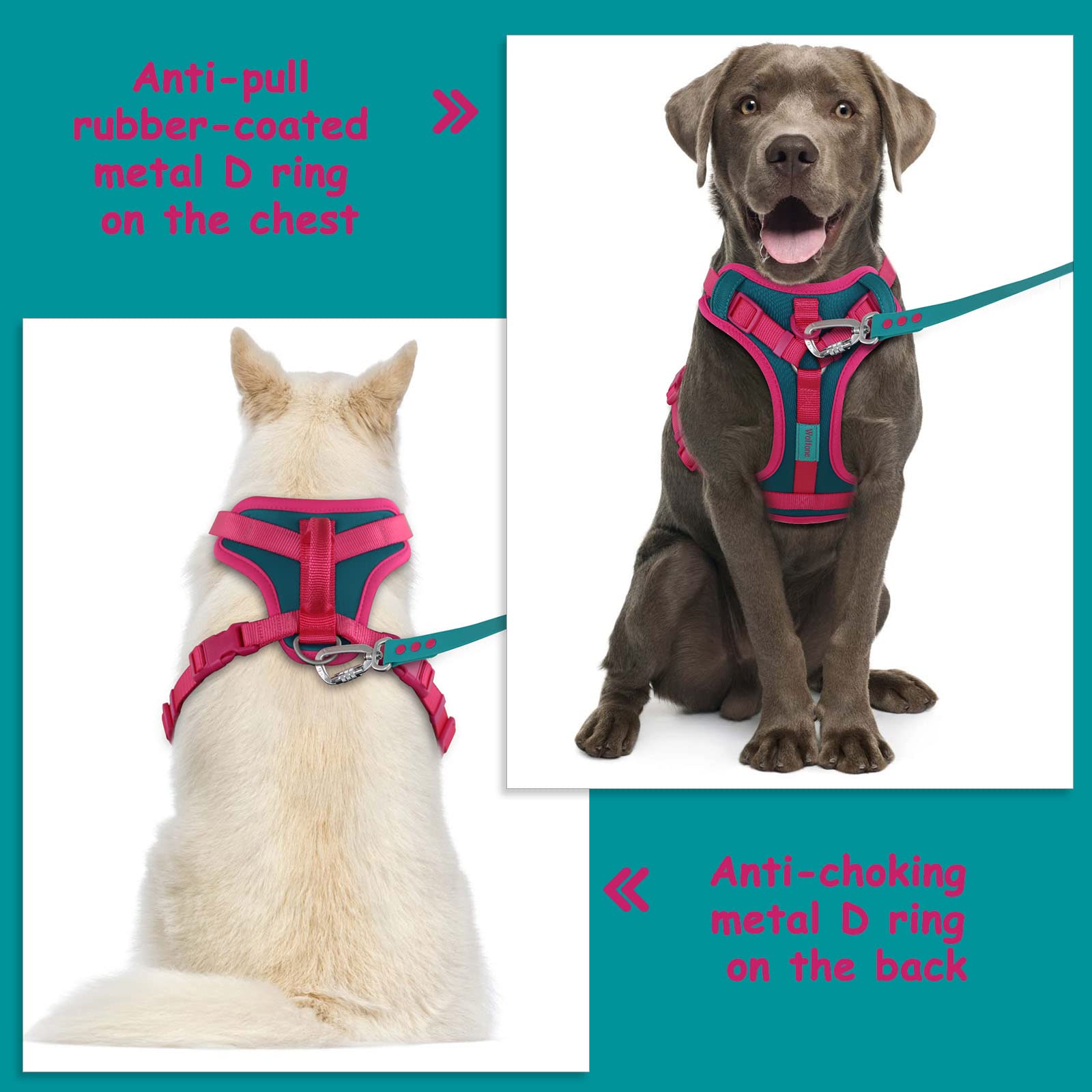 Wolfone No Pull Dog Harness Adjustable Soft Padded Pet Vest With Control Handle Adorable Daily Harness For Dogs(Viridian Green X