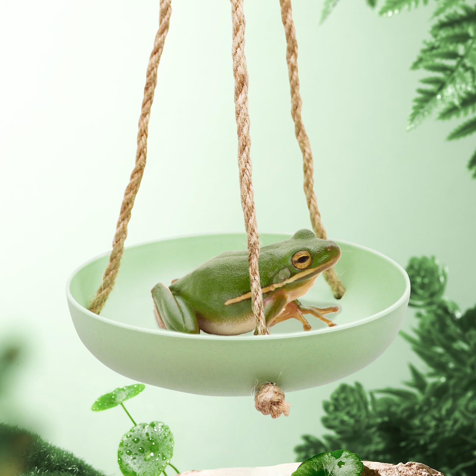 MinrzPet Plastic Frog Swing Toys with Suction Cup, Frog Habitat Platform, Reptile Decorations for Terrarium, Frog Tank Accessori