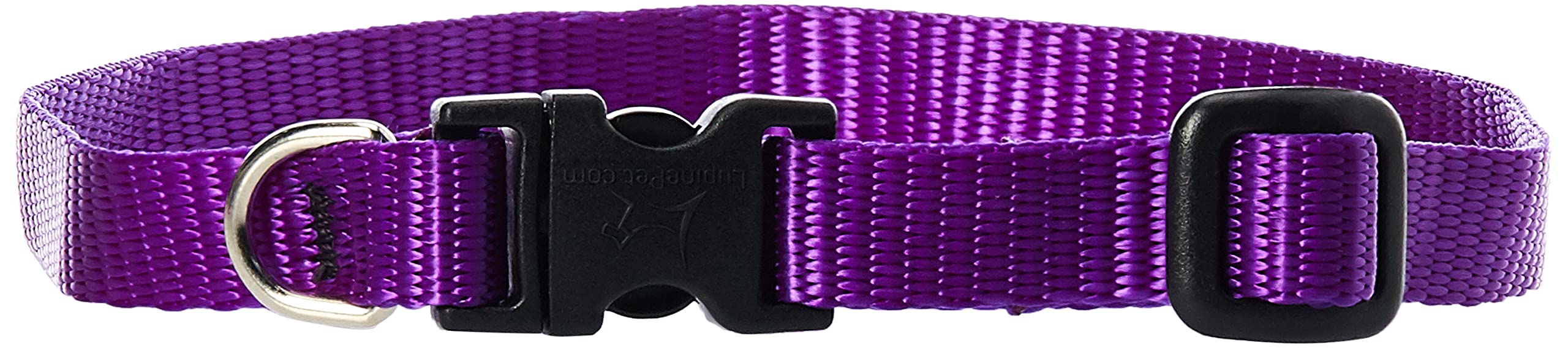 LupinePet Basics 1/2'' Purple 10-16'' Adjustable Collar for Small Dogs
