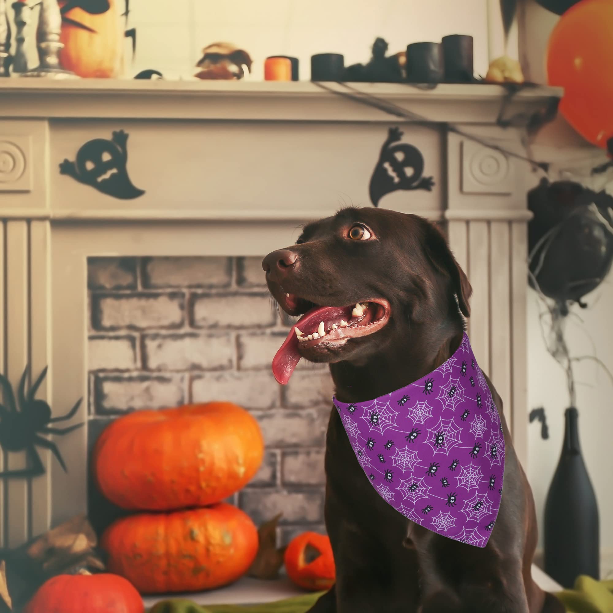 Adoggygo 2 Pack Halloween Dog Bandanas, Reversible Triangle Dog Scarf Accessories Halloween Bandanas For Large And Extra Large Dogs Pets (X-Large, Halloween-2)