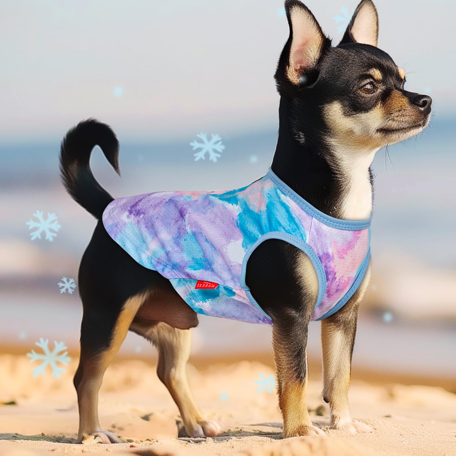 Kyeese 2 Pack Dog Cooling Shirts Quick Dry Instant Cooling Dog Vest For Small Dogs Breathable Sleeveless Vest Lightweight Soft C