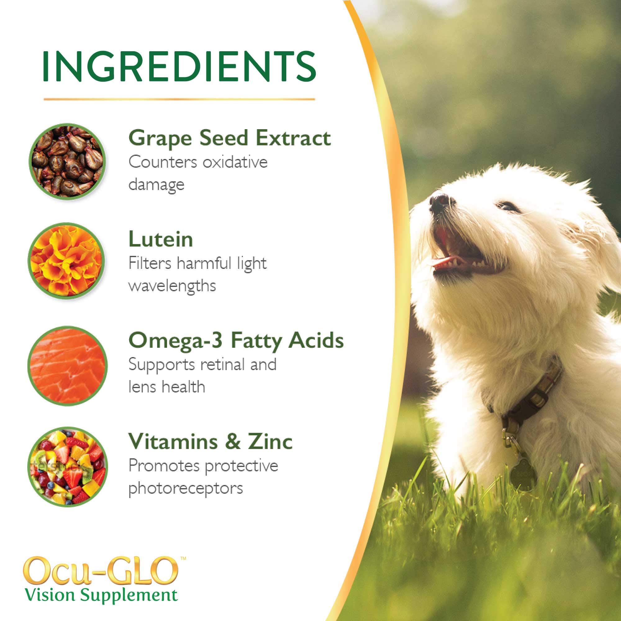 Ocu-GLO Canine Vision Supplement for Small Dogs 10 lb and Under-90 Liquid Gel Caps