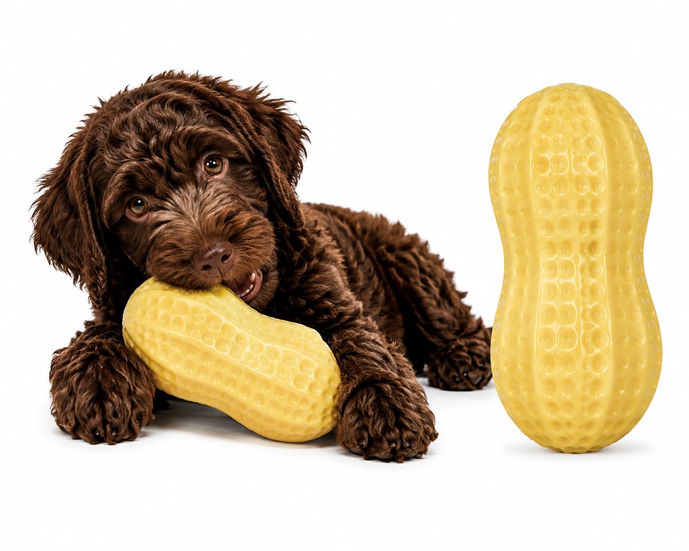 Canine Products Peanut Shape Dog Chew Toy  Durable Natural Rubber Squeaky Interactive Toy For Puppies & Small Dogs