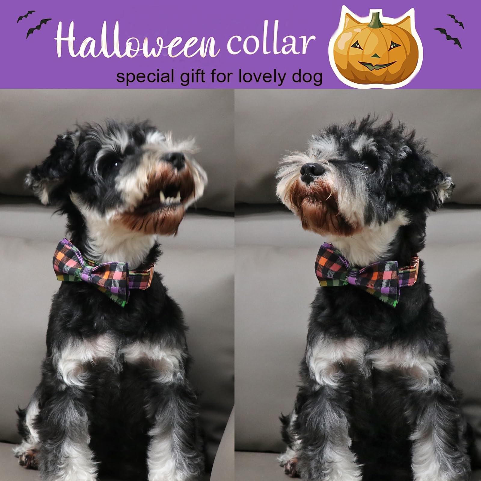 Aring Pet Halloween Dog Collar, Cute Cotton Fall Dog Collar With Bow, Adjustable Halloween Plaid Pet Collars With Metal Buckle
