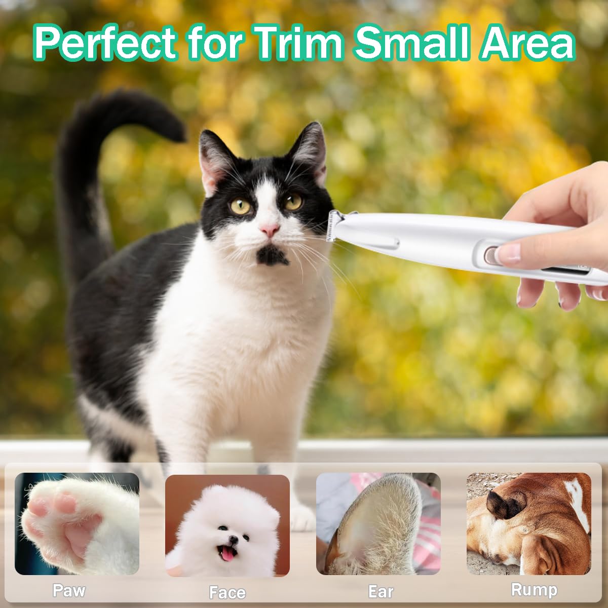 Singring Dog Paw Trimmer, Electric Dog Clippers With Led Light, Rechargeable Low Noise Pet Hair Trimmer For Grooming, Cordless P