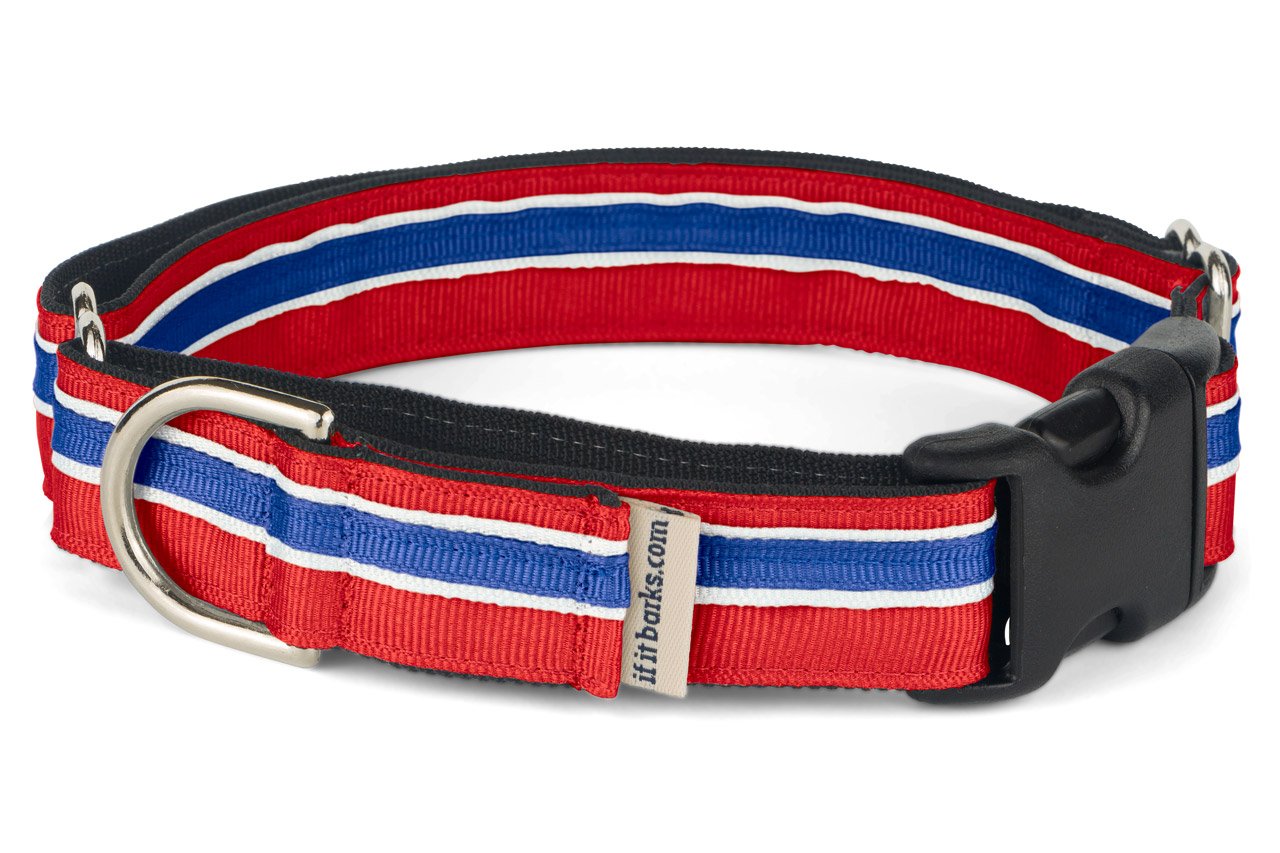 If It Barks 1'' Martingale Collar With Quick Snap Release Buckle, Adjustable, Usa Made, Small, Patriotic