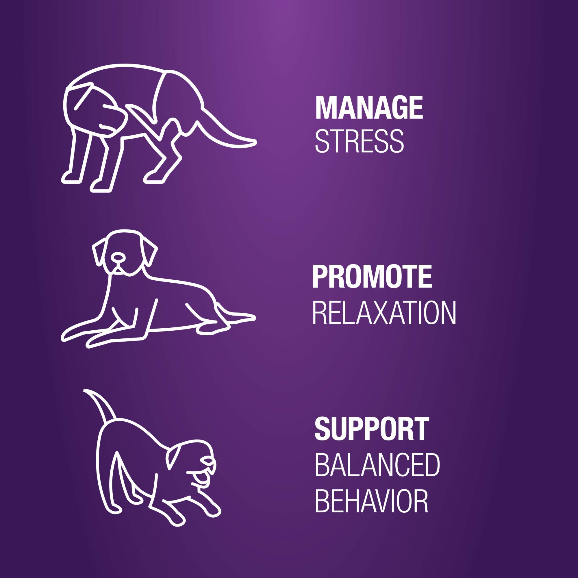 VetIQ Calming Support Supplement for Dogs, Anxiety Supplement Soft Chews,1 Count (Pack of 90)