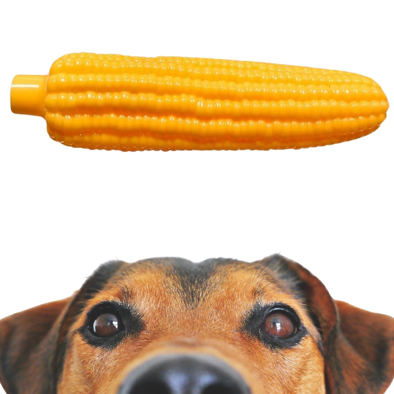 Sage Square Corn Interactive Pet Squeaky Toy: Durable, Safe, Fun Chew Toy For Dogs  Perfect For Playtime, Dental Health, Anxiet