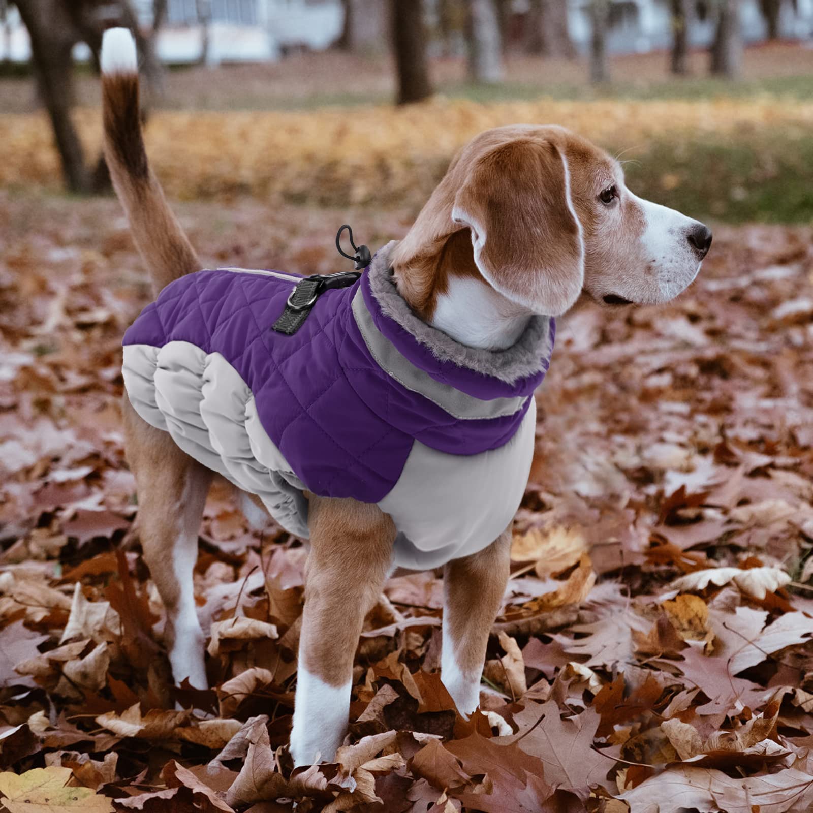 LeLePet Warm Dog Winter Coat, Waterproof Fleece, Windproof, Reflective, Turtleneck, Harness, Purple, XXX-Large