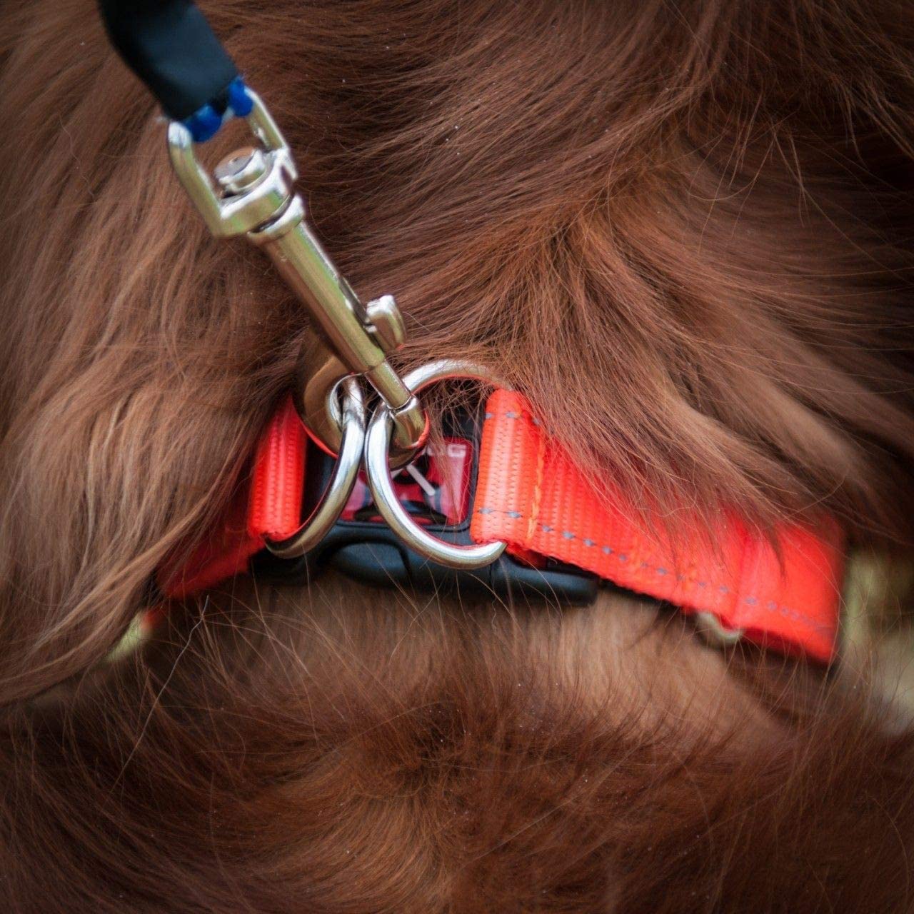 EzyDog Double Up Nylon Dog Collar - Reflective, Double D-Rings, ID Attachment, Small, Red