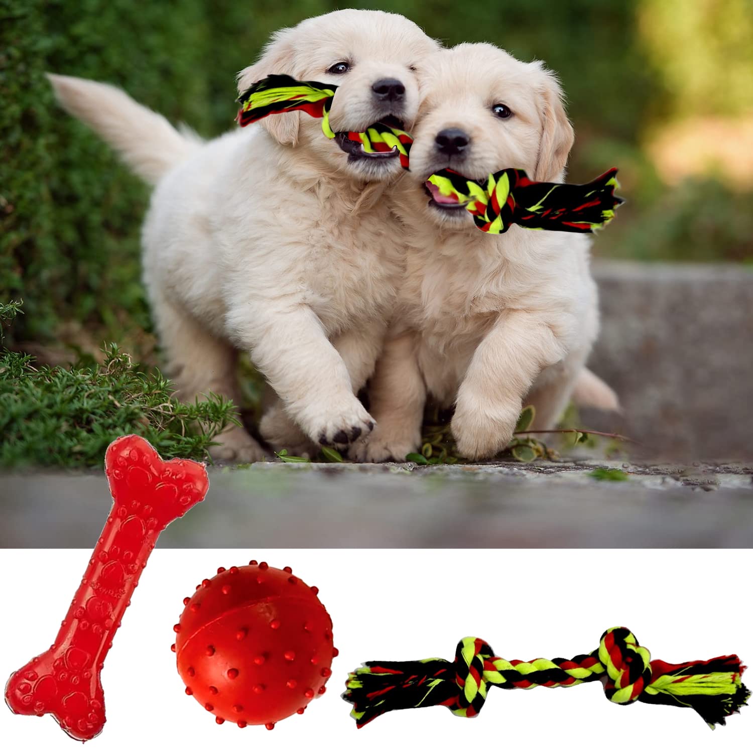 Jainsons Pet Products Dog Toy Pack, Chew Toys For Small Dogs Puppies, For Small To Medium Breeds, Rubber Bone, Pimple Ball And 2