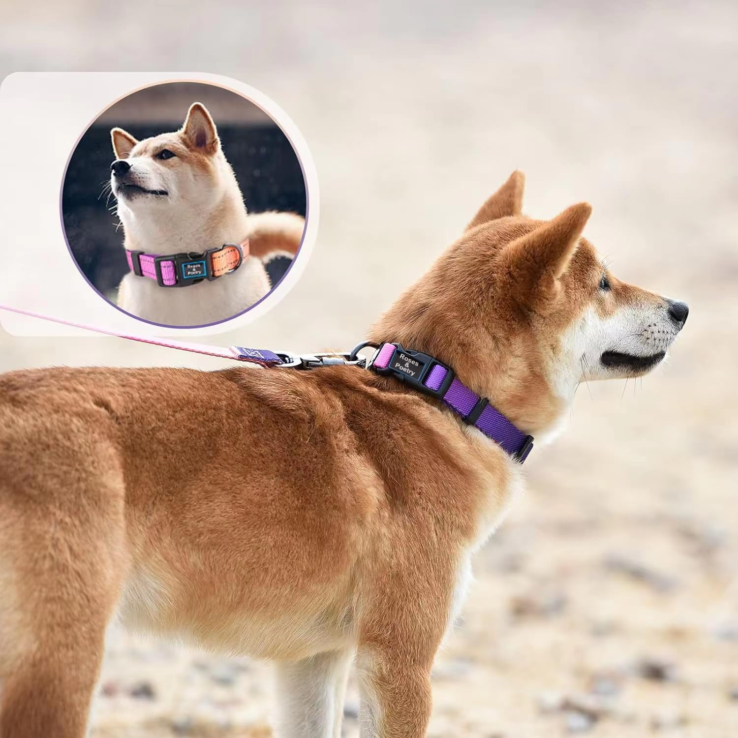 Roses&Poetry Puppy Dog Collar And Leash Set, Reflective Dog Leash For Small Dogs, Cute Matching Collars And Leashes Padded Adjus