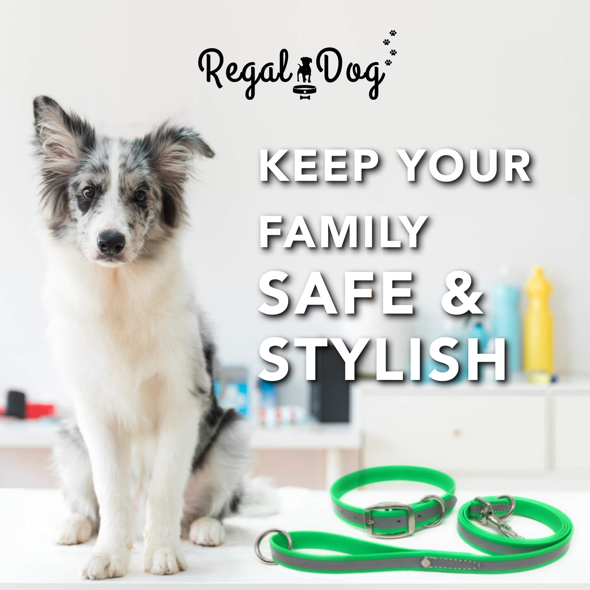 Regal Dog Products Medium Lime Green Reflective Dog Collar And Leash Set - Waterproof Biothane Dog Collar With Heavy Duty Double