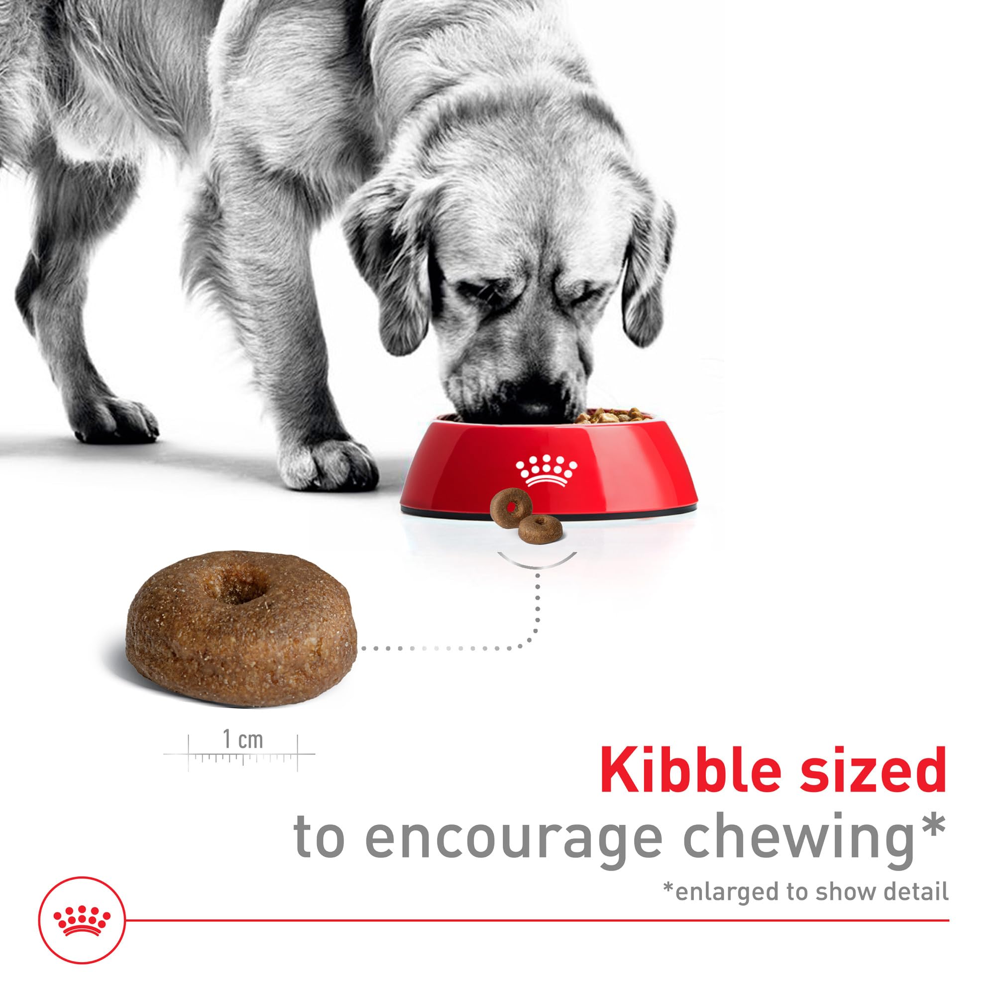 Royal Canin Size Health Nutrition Large Aging 8+ Dry Dog Food, 30 lb bag