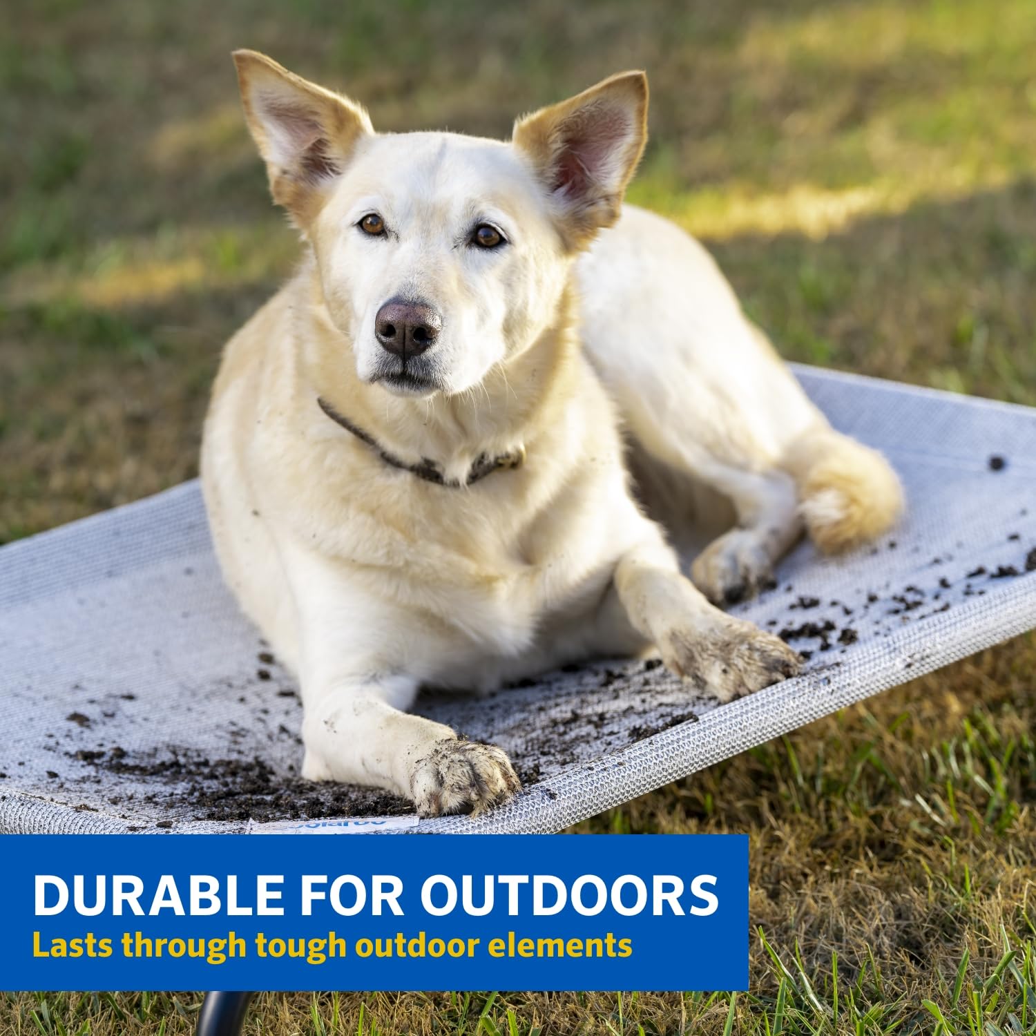 Coolaroo The Original Cooling Elevated Pet Bed,Brunswick Green, Small