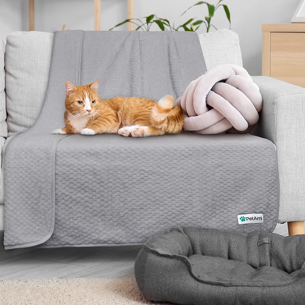 Petami Waterproof Dog Blanket, Leakproof Xl Pet Blanket For Large Dogs, Furniture Sofa Couch Cover Protector, Fleece Cat Throw Bed Crate Kennel, Reversible Washable Soft Plush, Twin 60X80 Light Gray