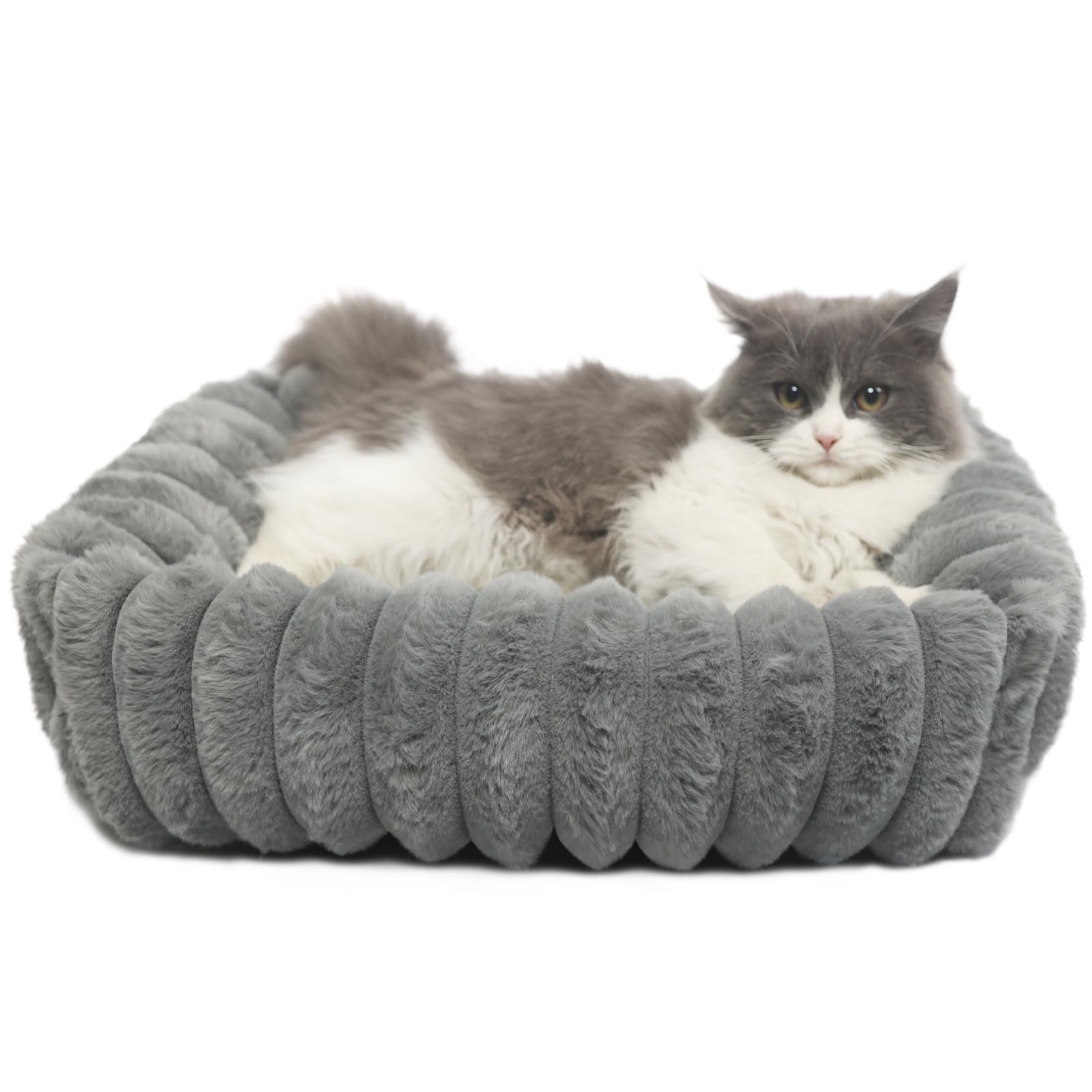 Zihapgpzp Small Cat Beds For Indoor Cats Washable Furry Kitten Beds With Sides,Rectangle Orthopedic Soft Calming Comfy Sleeping 