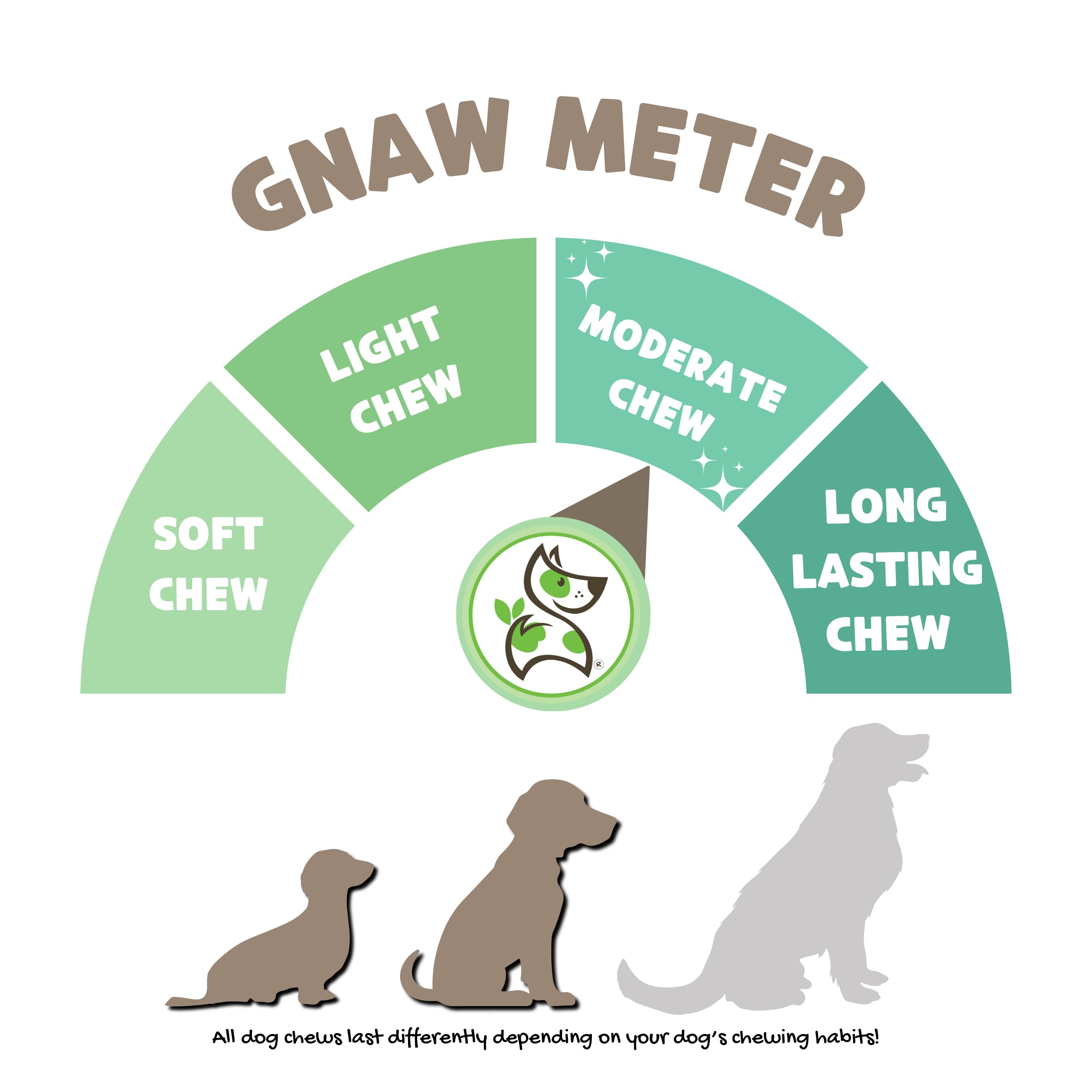 Nature Gnaws Braided Gnaws for Dogs 5-6 (3 Count) - Long Lasting for Small and Medium Dogs - Natural Beef Bully Stick Combo Brai