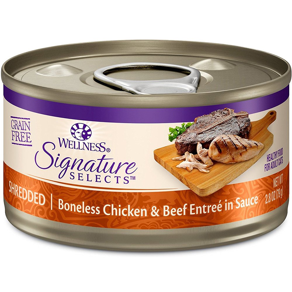 Wellness Canned Grain Free Wet Cat Food - Variety Bundle 4 Flavors Pack with Hotspot Pets Food Bowl (12 Cans) (Chicken & Beef, C