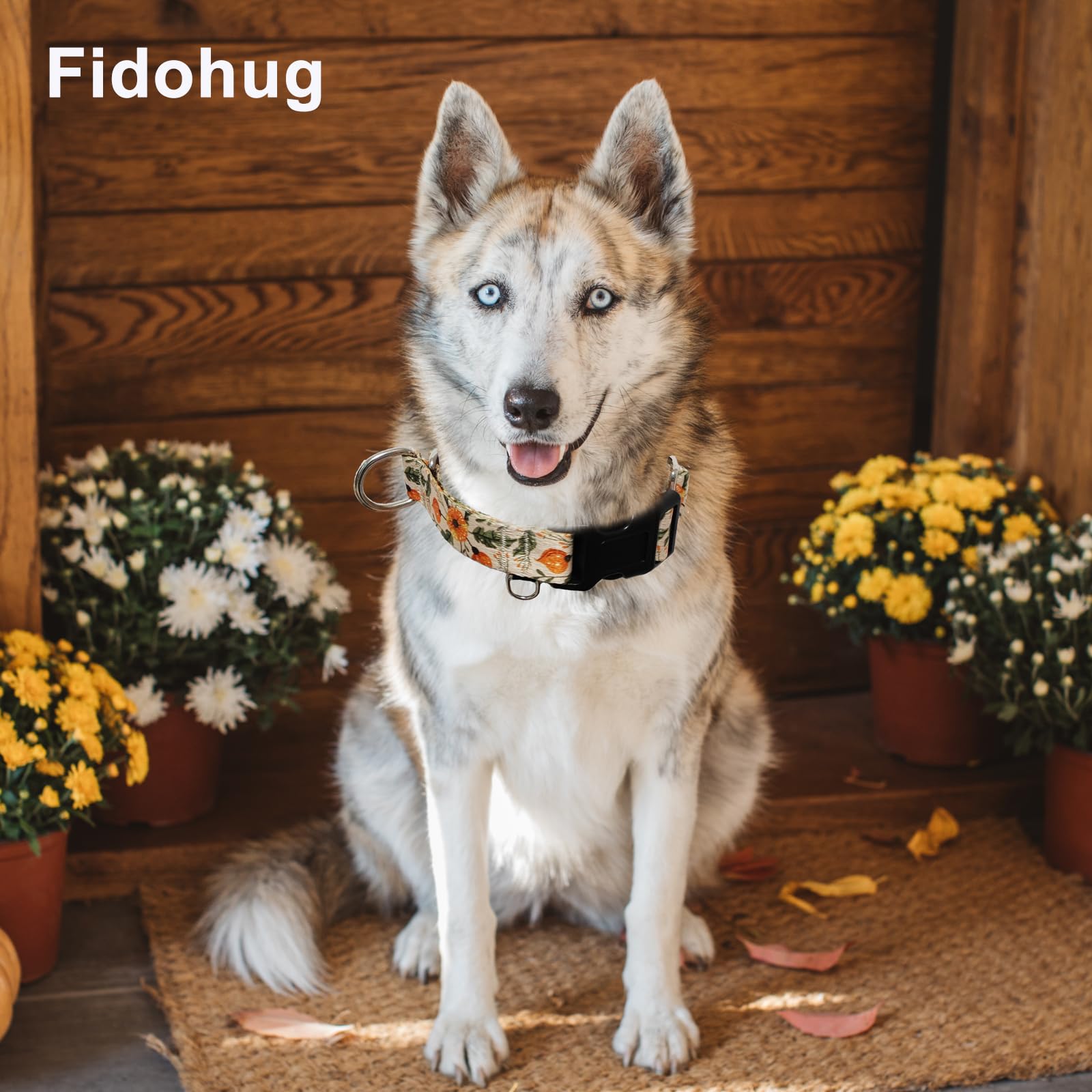 Fidohug Martingale Collar For Dogs With Buckle Anti Pull Adjustable Nylon Limited Slip Training Dog Collars (Beige Floral, Mediu