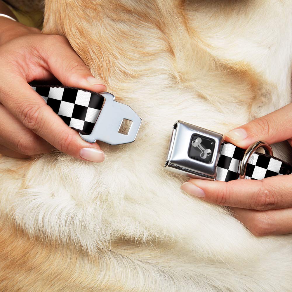 Buckle-Down Checker Black/White Dog Collar Bone, Medium/11-17'