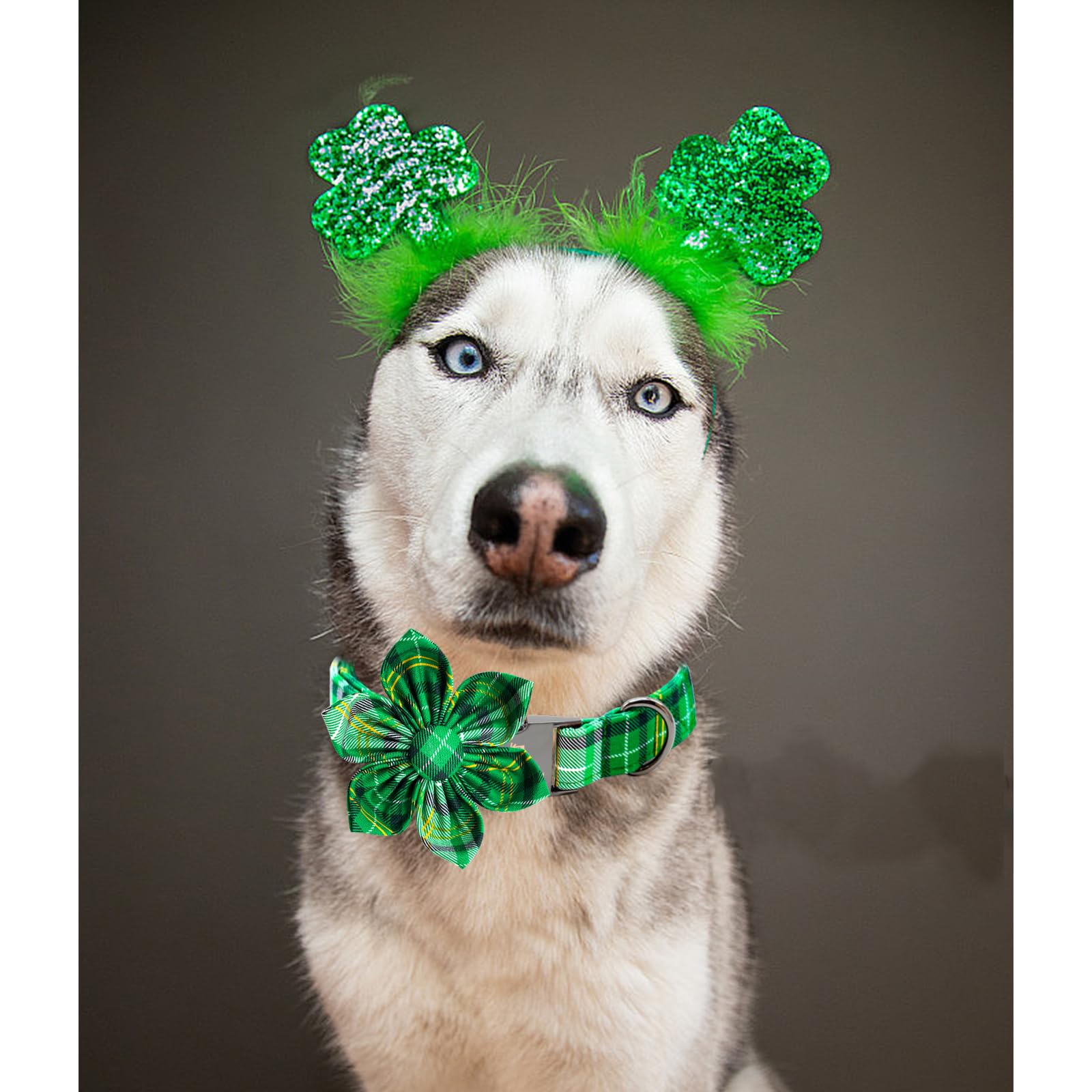 Lionheart Glory St. Patrick'S Day Collar For X-Large Dogs - Green Plaid, Flower Pet Collar Bows