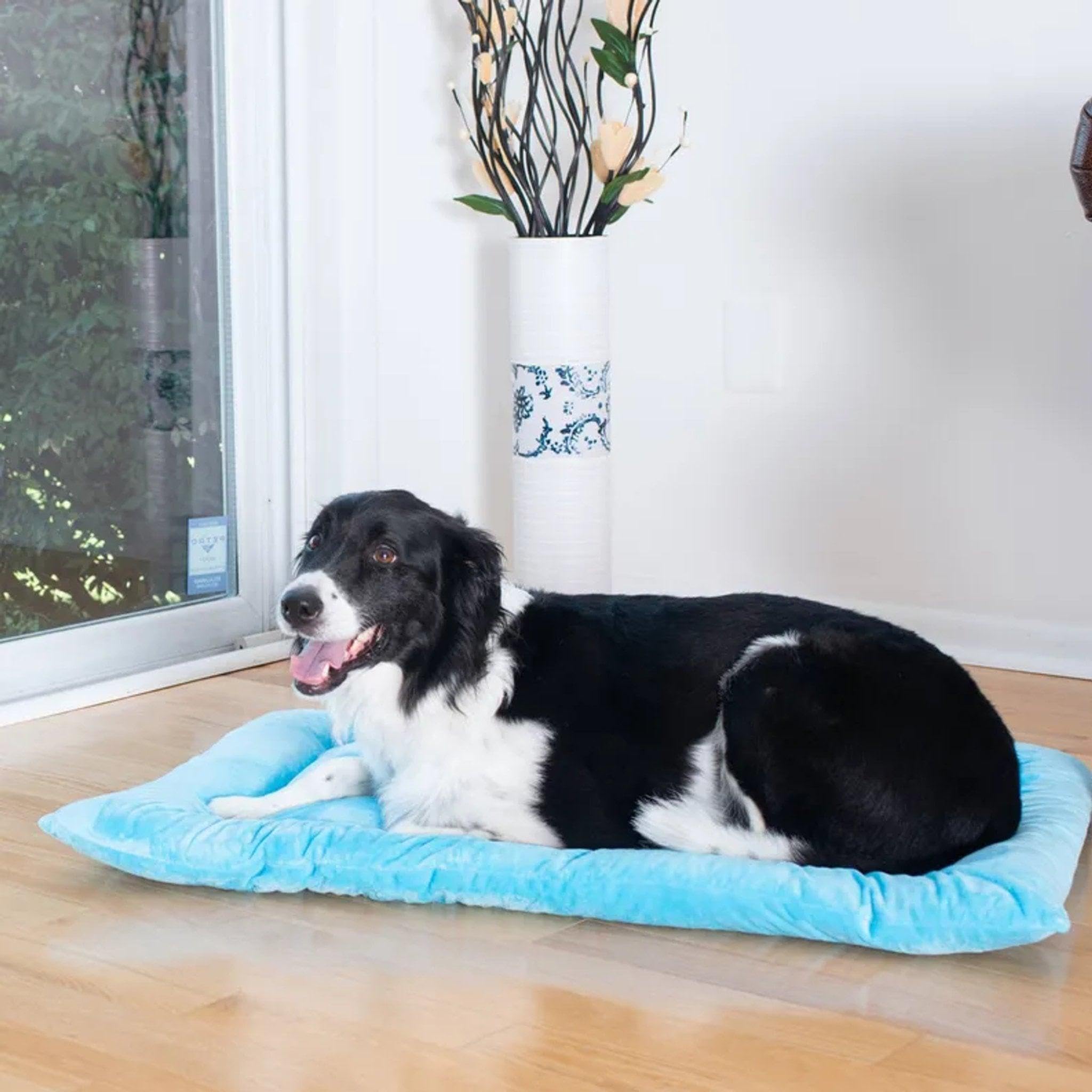 Armarkat Pet Bed Mat 35-Inch By 22-Inch By 3-Inch M01-Large, Sky Blue