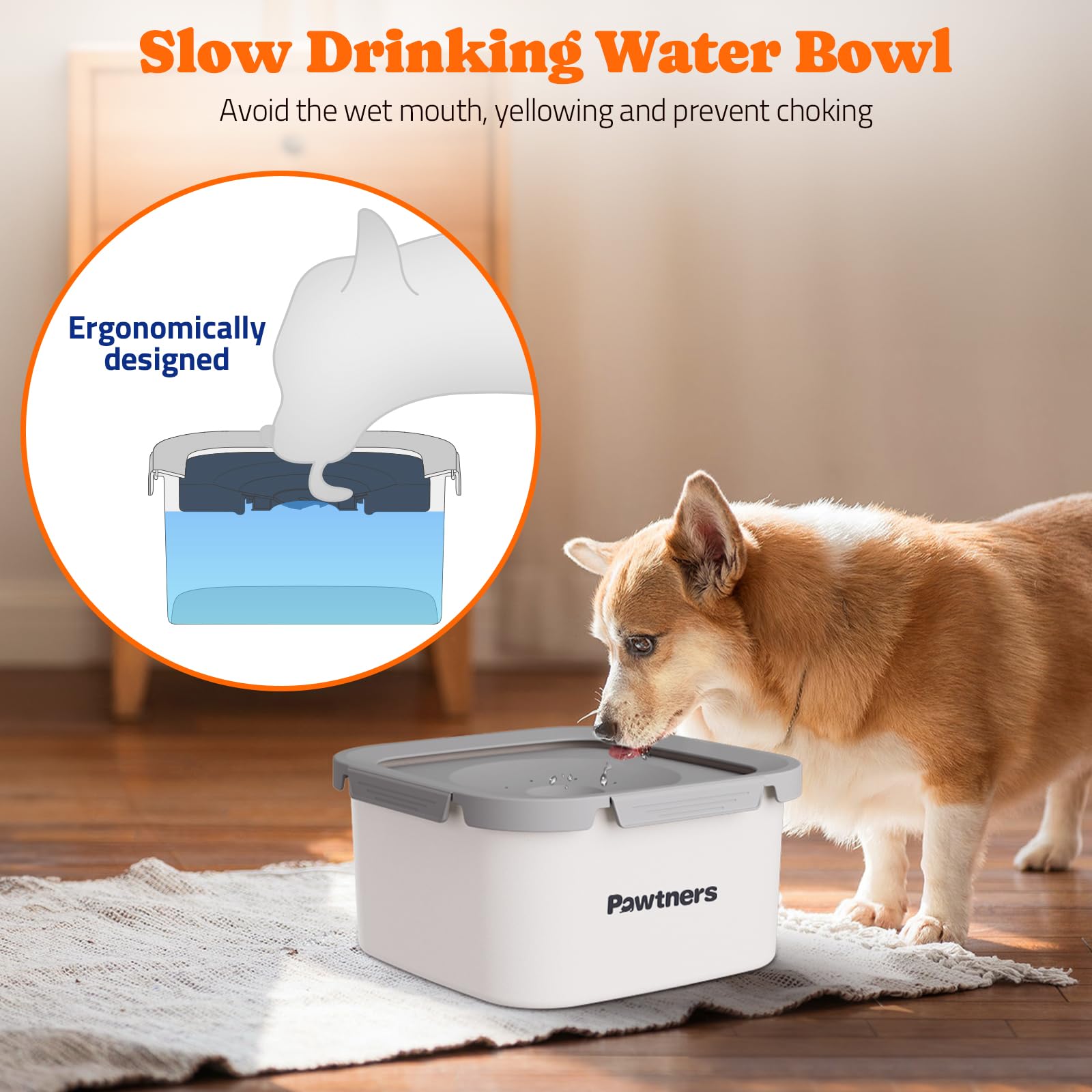 Pawtners Dog Water Bowl No Spill 4.5L Stainless Steel Slow Feed White, 10.2x10.2x4.5 Inch, Non-Slip Base for Medium Large