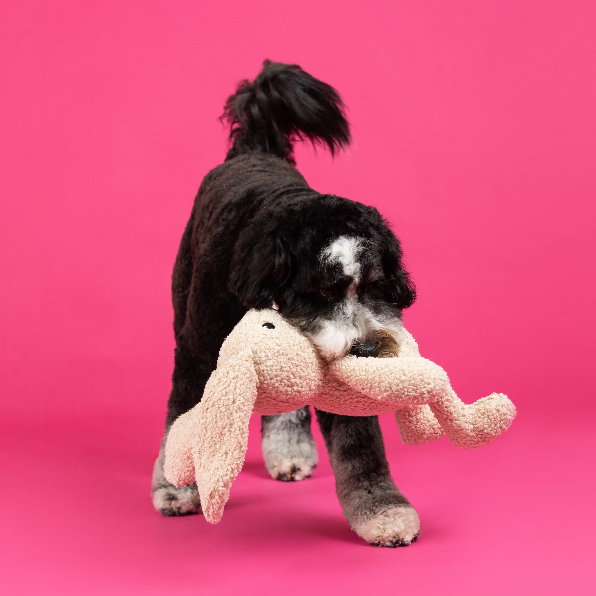Fringe Studio Large Plush Dog Toy, Hoppy to See You, Pet Shop Collection (728034)