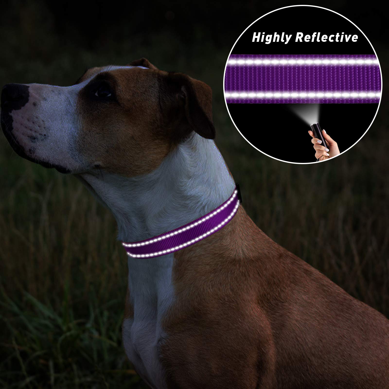 Tagme Reflective Nylon Dog Collars, Adjustable Classic Dog Collar With Quick Release Buckle For Extra Small Dogs, Purple, 5/8' Width